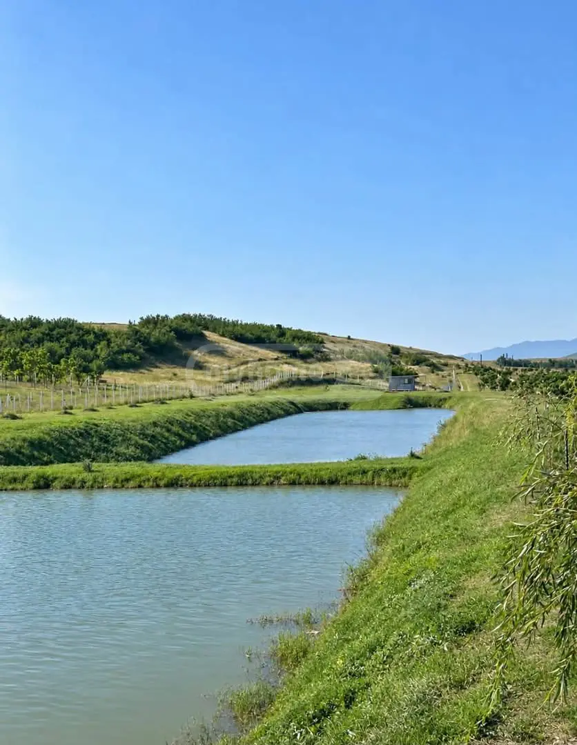 Agricultural Plot For Sale In Kavtiskhevi, In Kaspi Municipality view 16