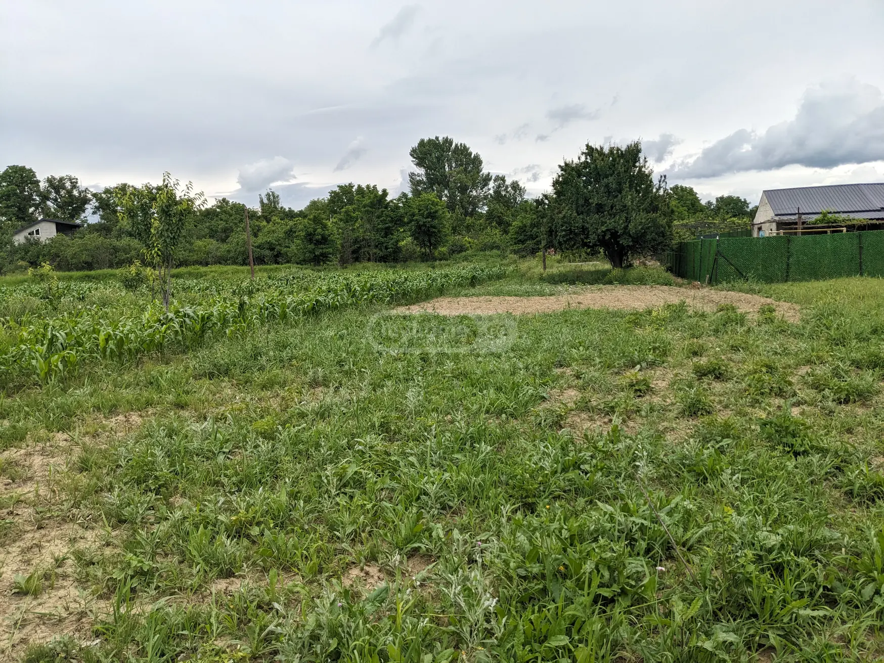 Non-Agricultural Plot For Sale In Gori view 7