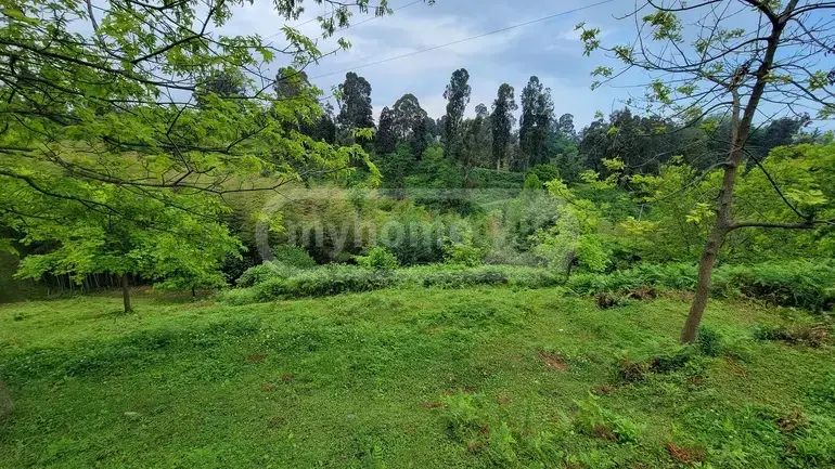 Agricultural Plot For Sale In Tsikhisdziri, In Kobuleti Municipality view 7
