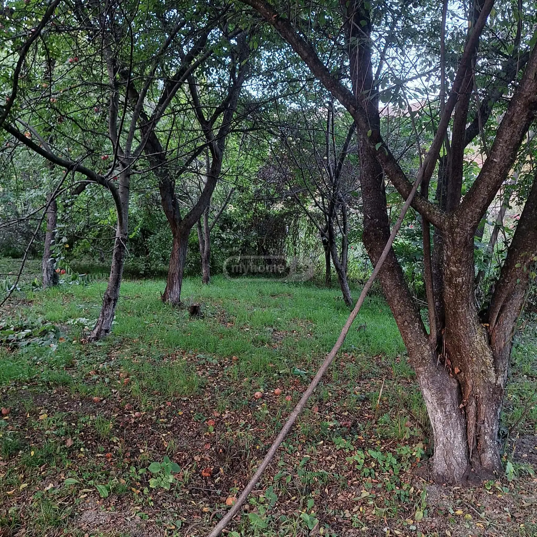 Agricultural Plot For Sale In Choporti, In Dusheti Municipality view 6
