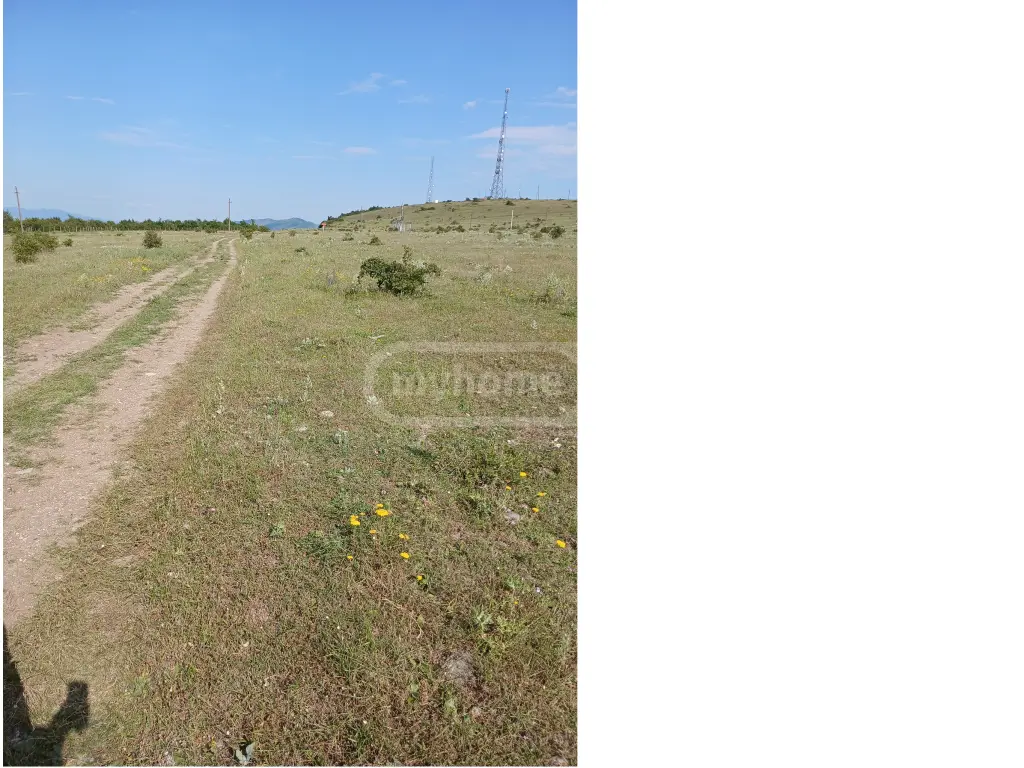 Agricultural Plot For Sale In Gori view 3