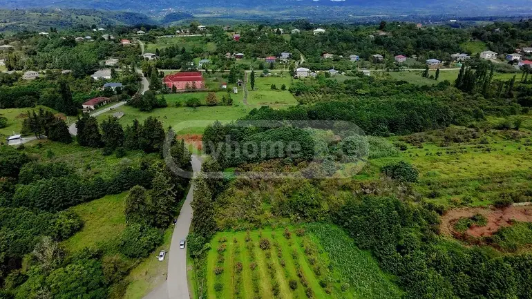 Agricultural Plot For Sale In Ozurgeti view 2
