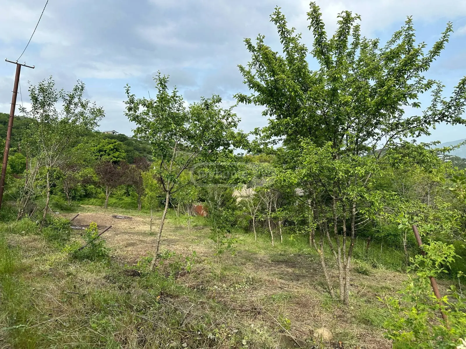 იყიდება Agricultural Plot In Tskluleti, In Tetritskaro Municipalityში view 7