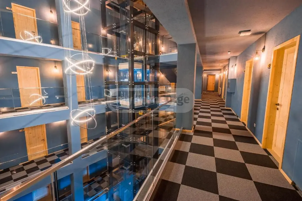 1 Room Hotel Daily Rent In Bakuriani view 6