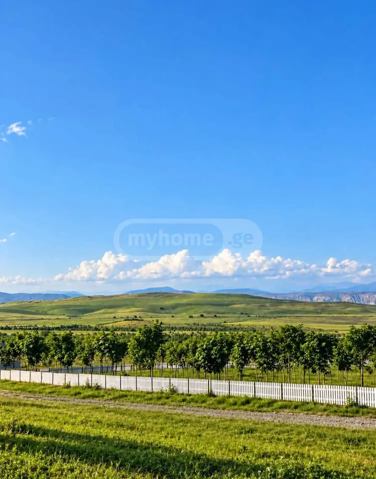 Agricultural Plot For Sale In Kavtiskhevi, In Kaspi Municipality view 6