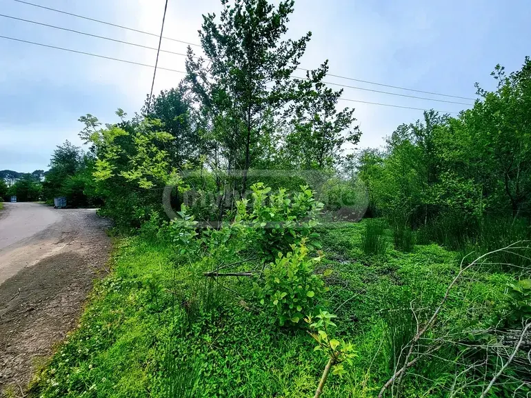 Agricultural Plot For Sale In Ureki, In Ozurgeti Municipality view 5