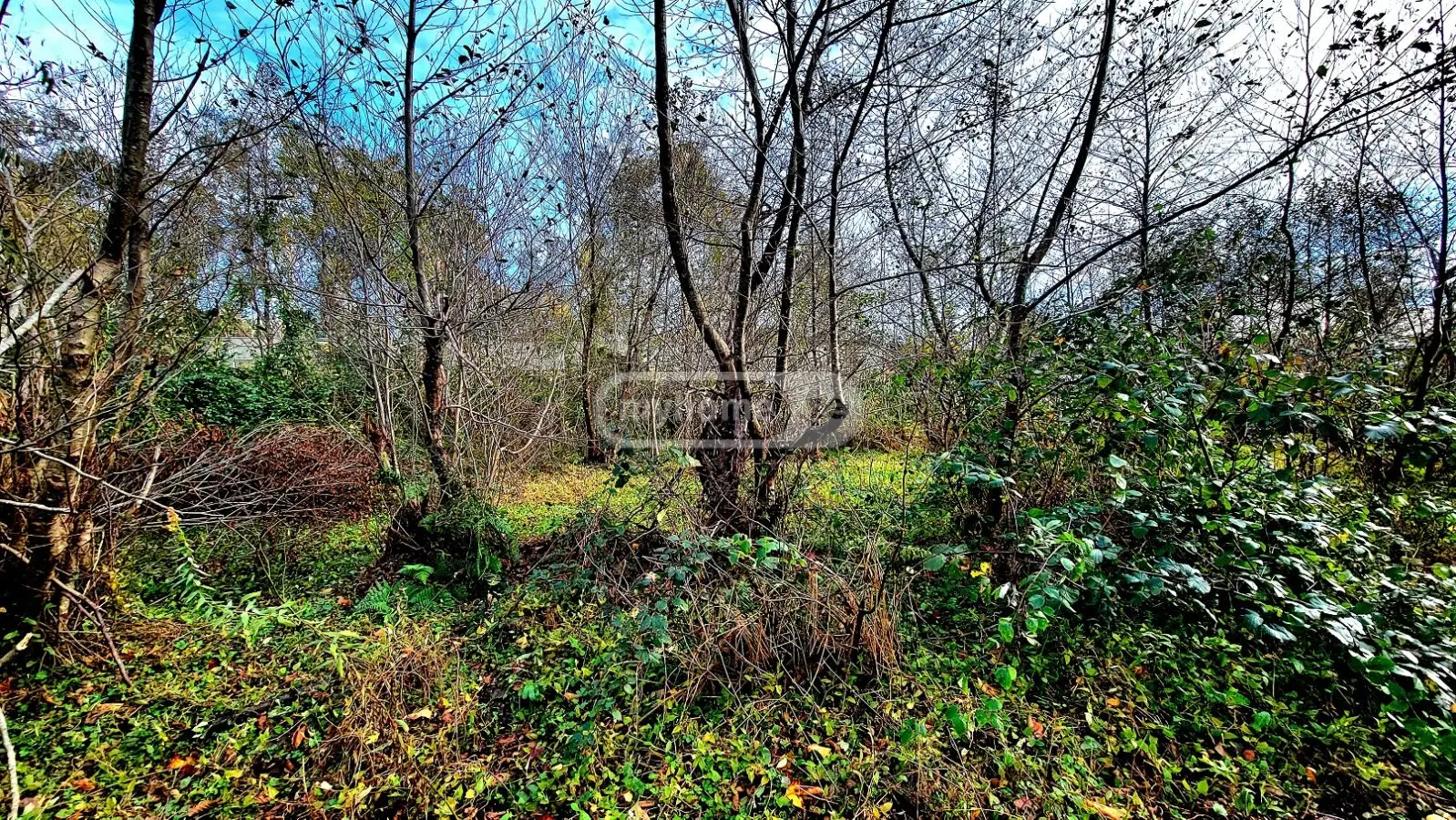 Agricultural Plot For Sale In Ozurgeti view 7