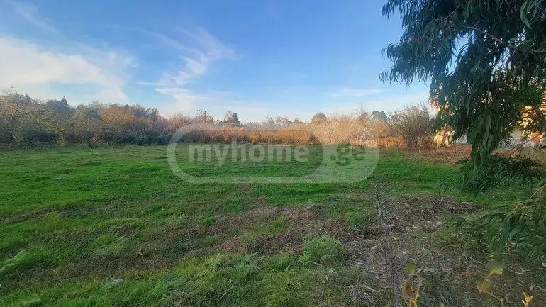 Agricultural Plot For Sale In Kobuleti view 1