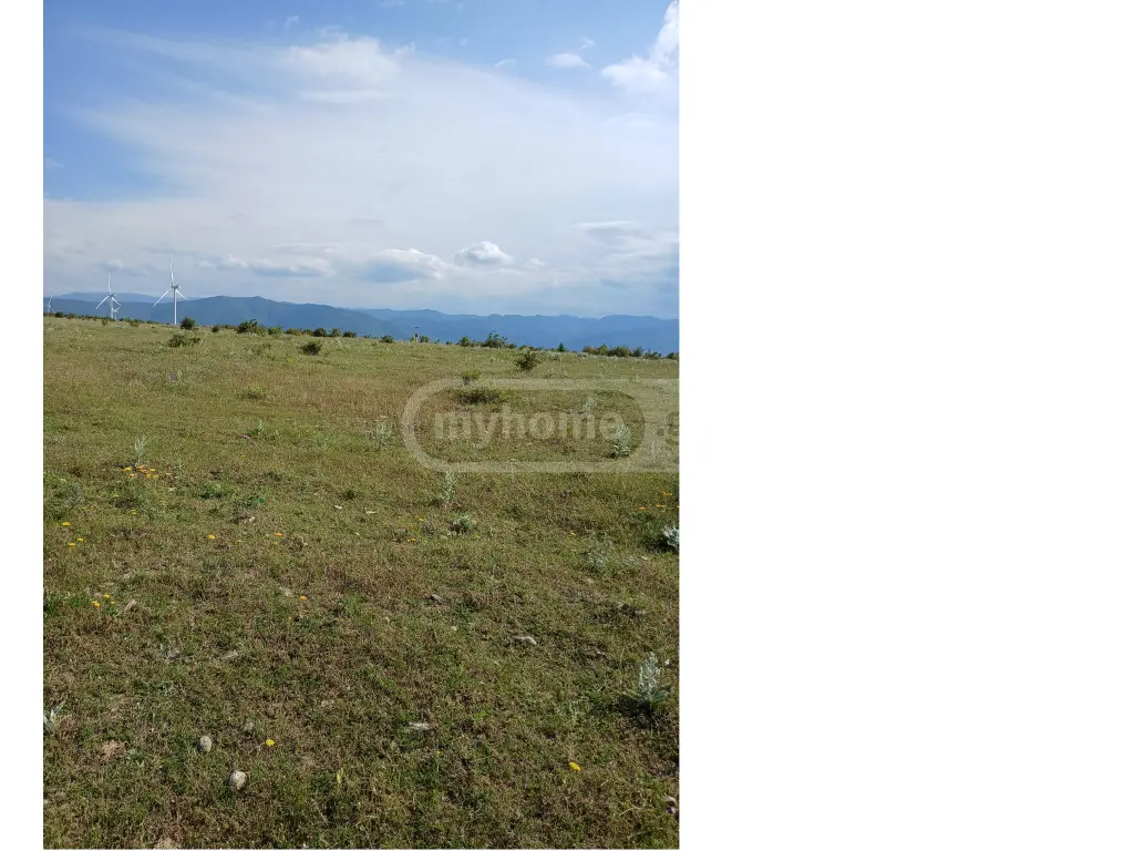 Agricultural Plot For Sale In Gori view 2