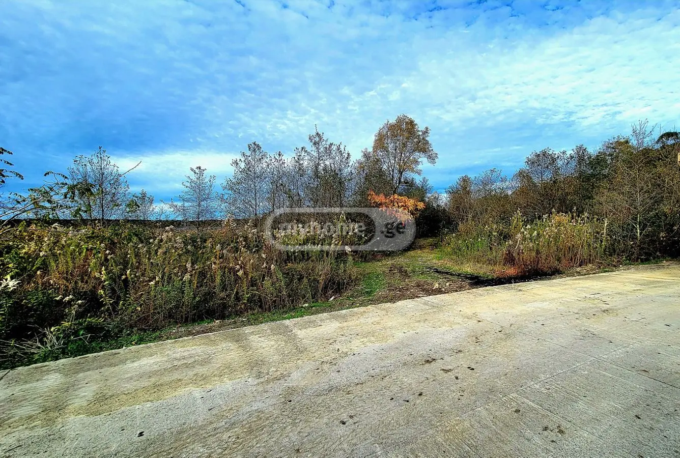 Agricultural Plot For Sale In Ozurgeti view 1