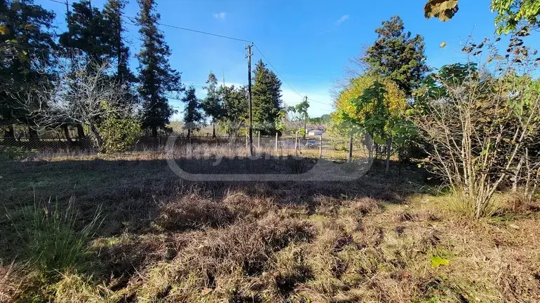 Agricultural Plot For Sale In Ozurgeti view 6