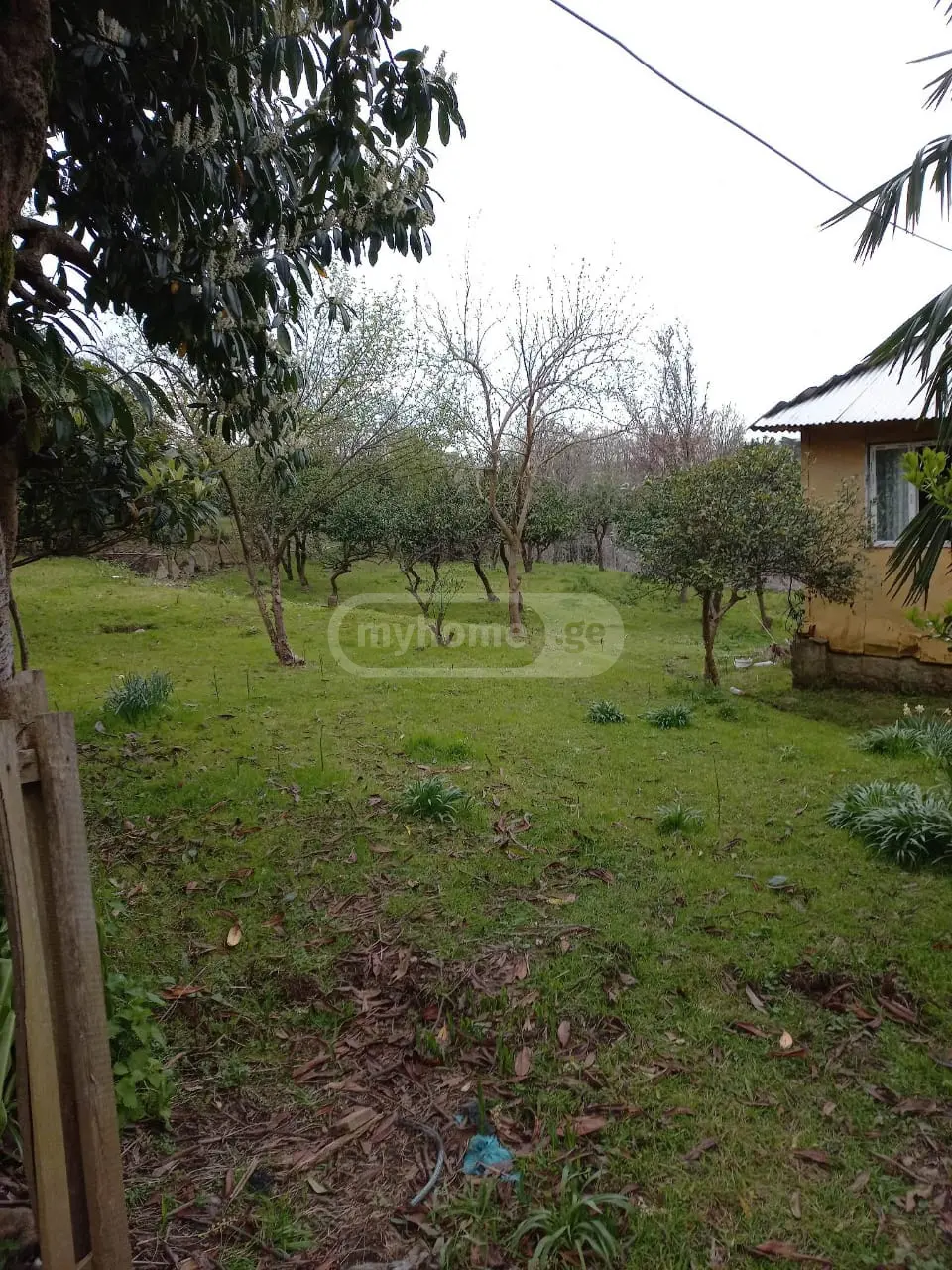 Agricultural Plot For Sale In Akhalsopeli, In Khelvachauri Municipality view 3