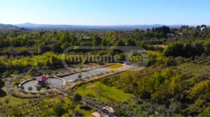 იყიდება Investment / For Construction Plot In Ozurgetiში view 1