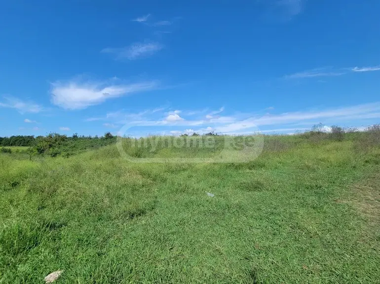იყიდება Agricultural Plot In Ozurgetiში view 4