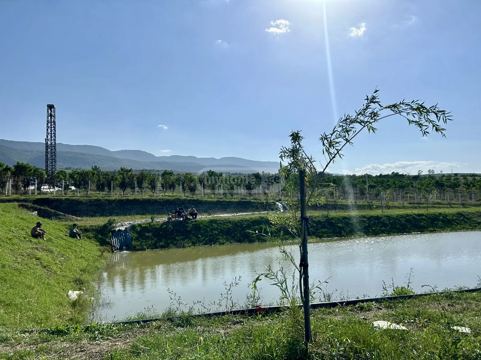 Agricultural Plot For Sale In Kavtiskhevi, In Kaspi Municipality view 10