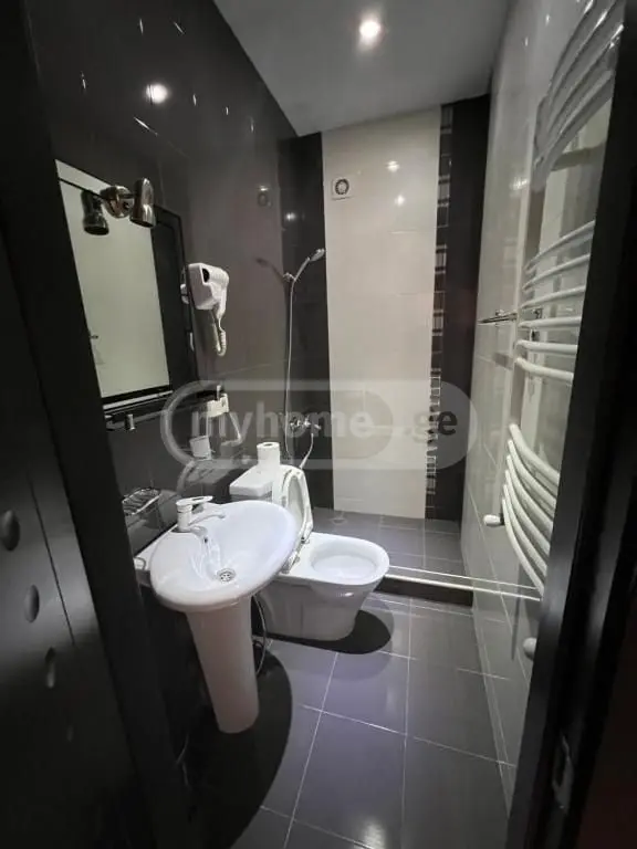 10+ Room Hotel For Rent In Nadzaladevi view 8