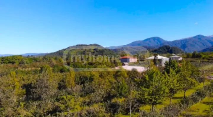 იყიდება Investment / For Construction Plot In Ozurgetiში view 5