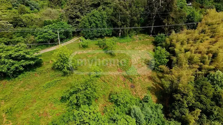 Agricultural Plot For Sale In Tsikhisdziri, In Kobuleti Municipality view 2
