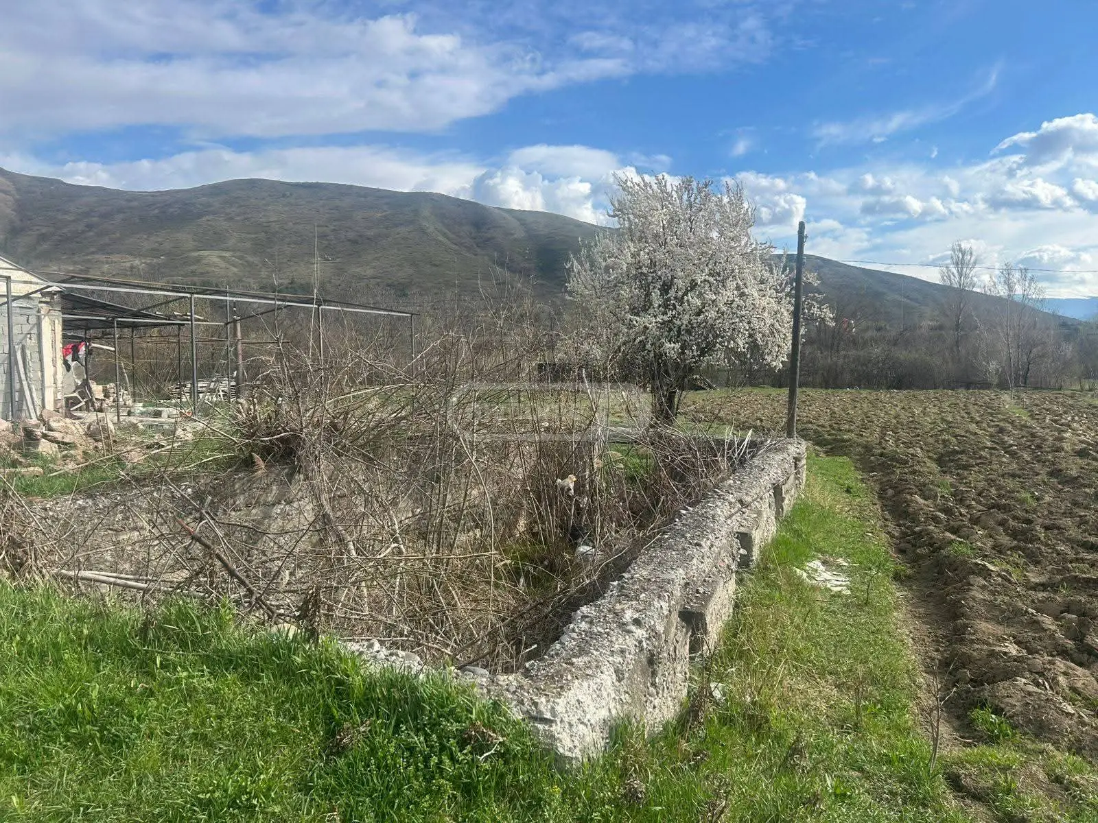 Non-Agricultural Plot For Sale In Gori view 3