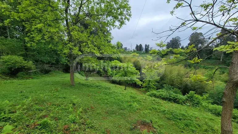 Agricultural Plot For Sale In Tsikhisdziri, In Kobuleti Municipality view 6