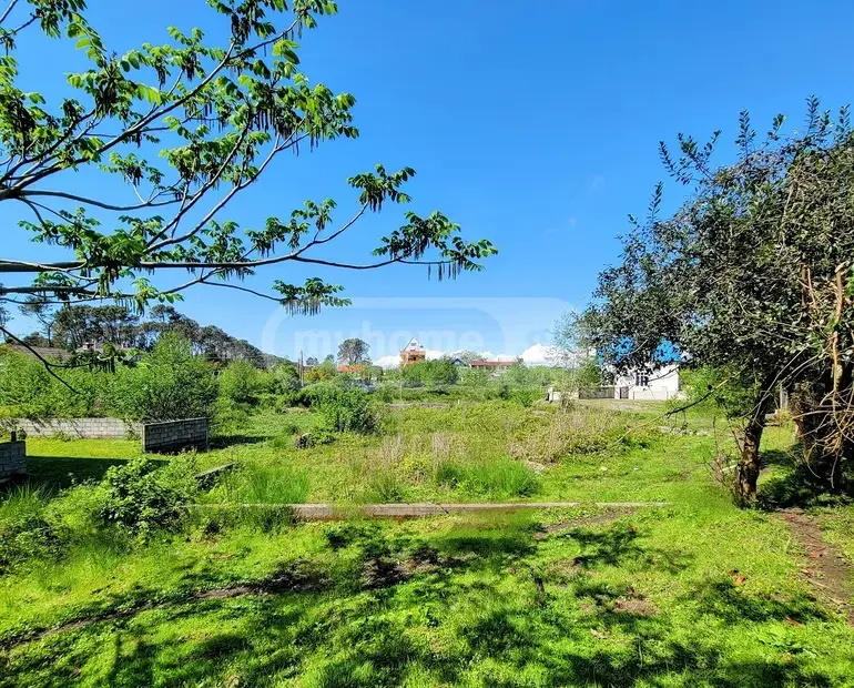 Agricultural Plot For Sale In Ureki, In Ozurgeti Municipality view 6