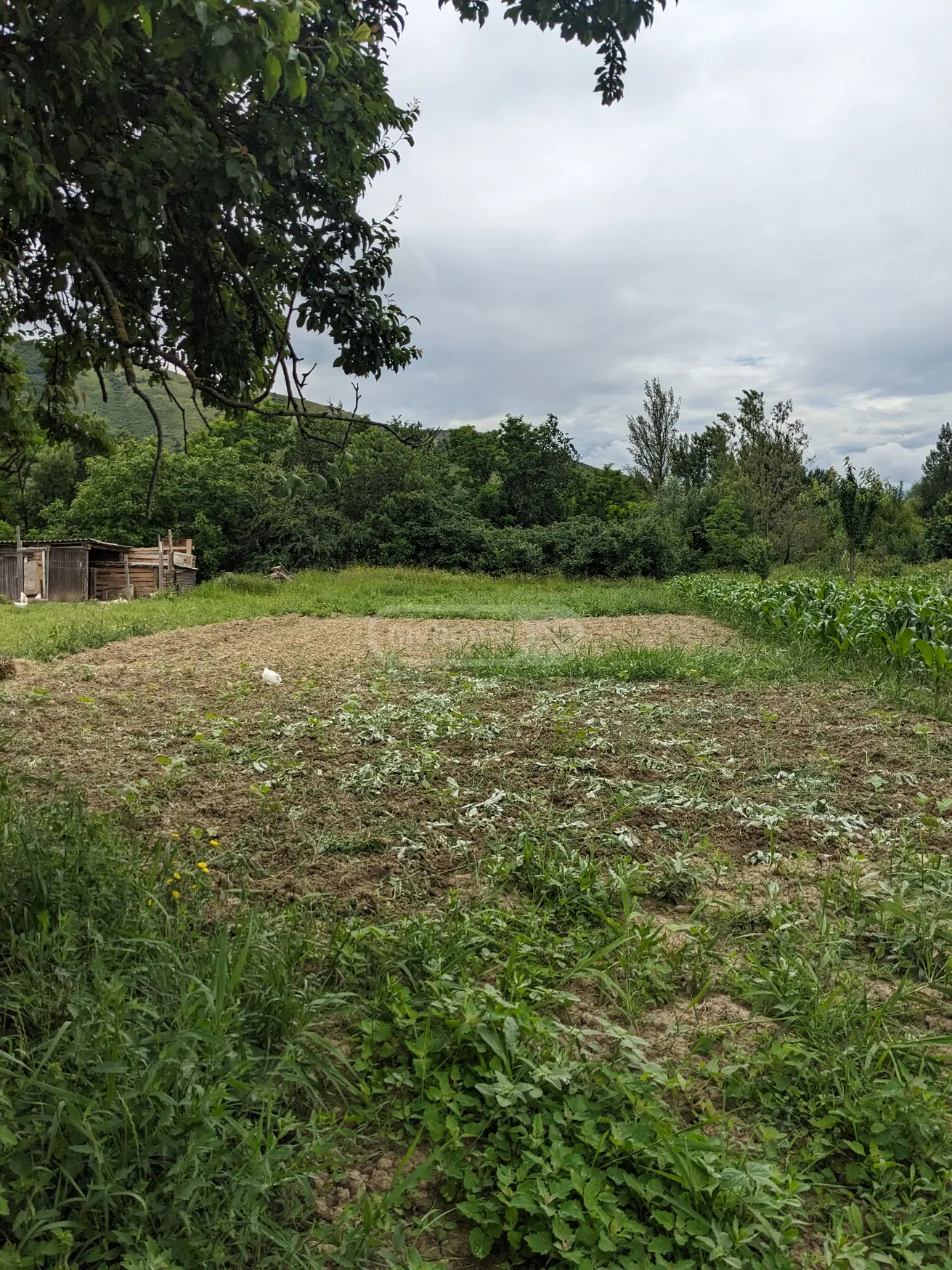 Non-Agricultural Plot For Sale In Gori view 8