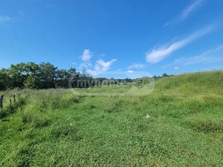 იყიდება Agricultural Plot In Ozurgetiში view 2