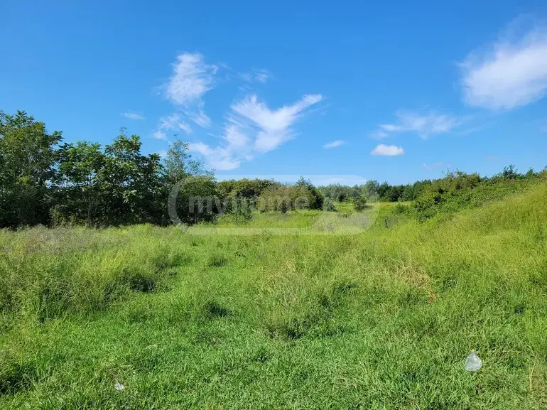 იყიდება Agricultural Plot In Ozurgetiში view 3