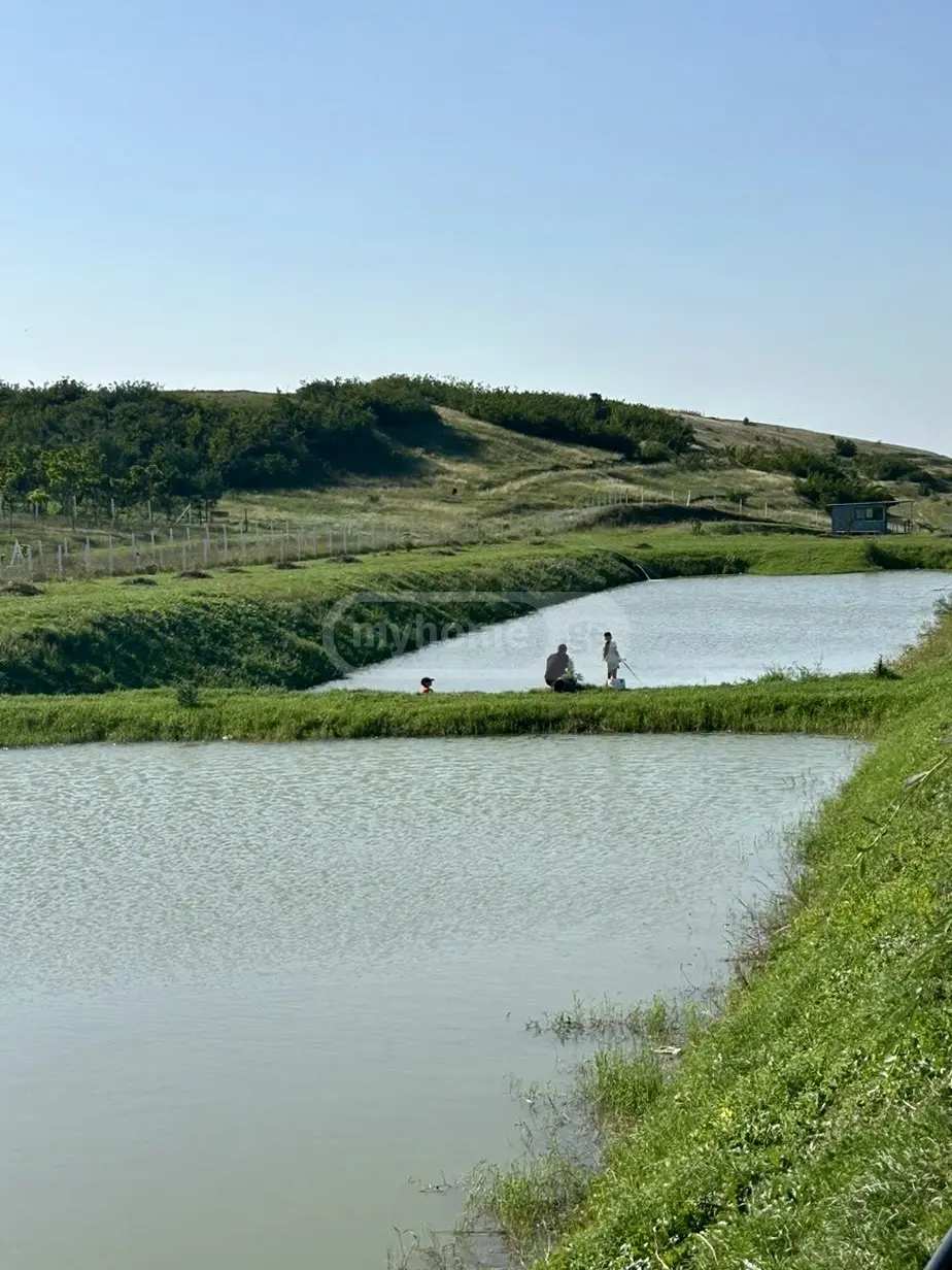 Agricultural Plot For Sale In Kavtiskhevi, In Kaspi Municipality view 4