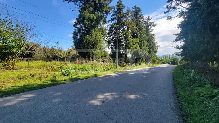 Agricultural Plot For Sale In Ozurgeti view 4