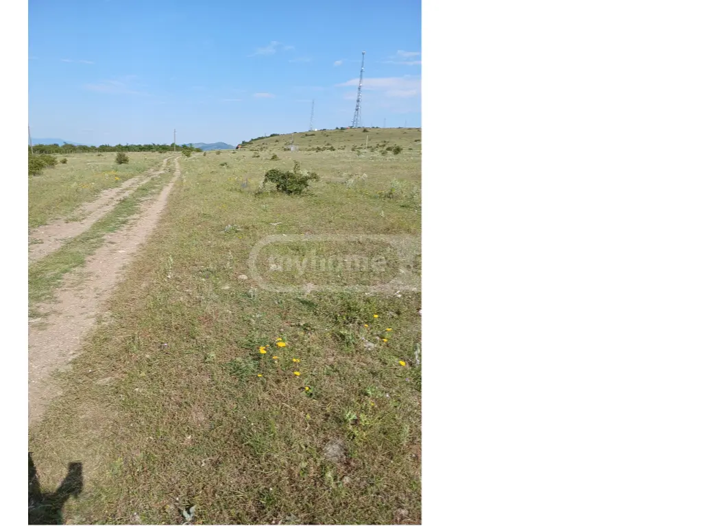 Agricultural Plot For Sale In Gori view 4
