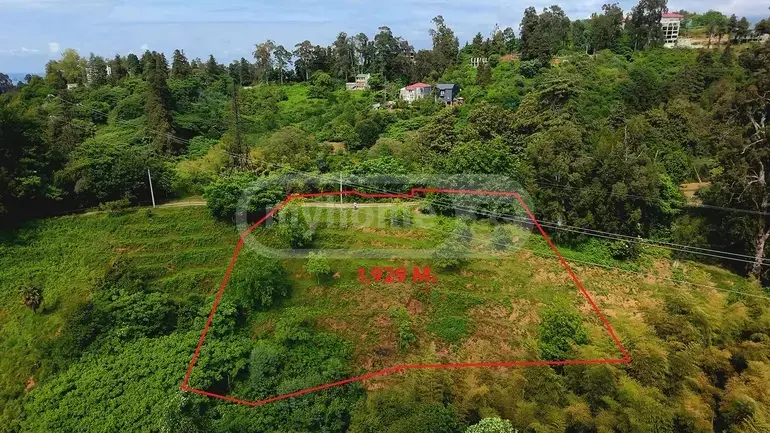 Agricultural Plot For Sale In Tsikhisdziri, In Kobuleti Municipality view 1