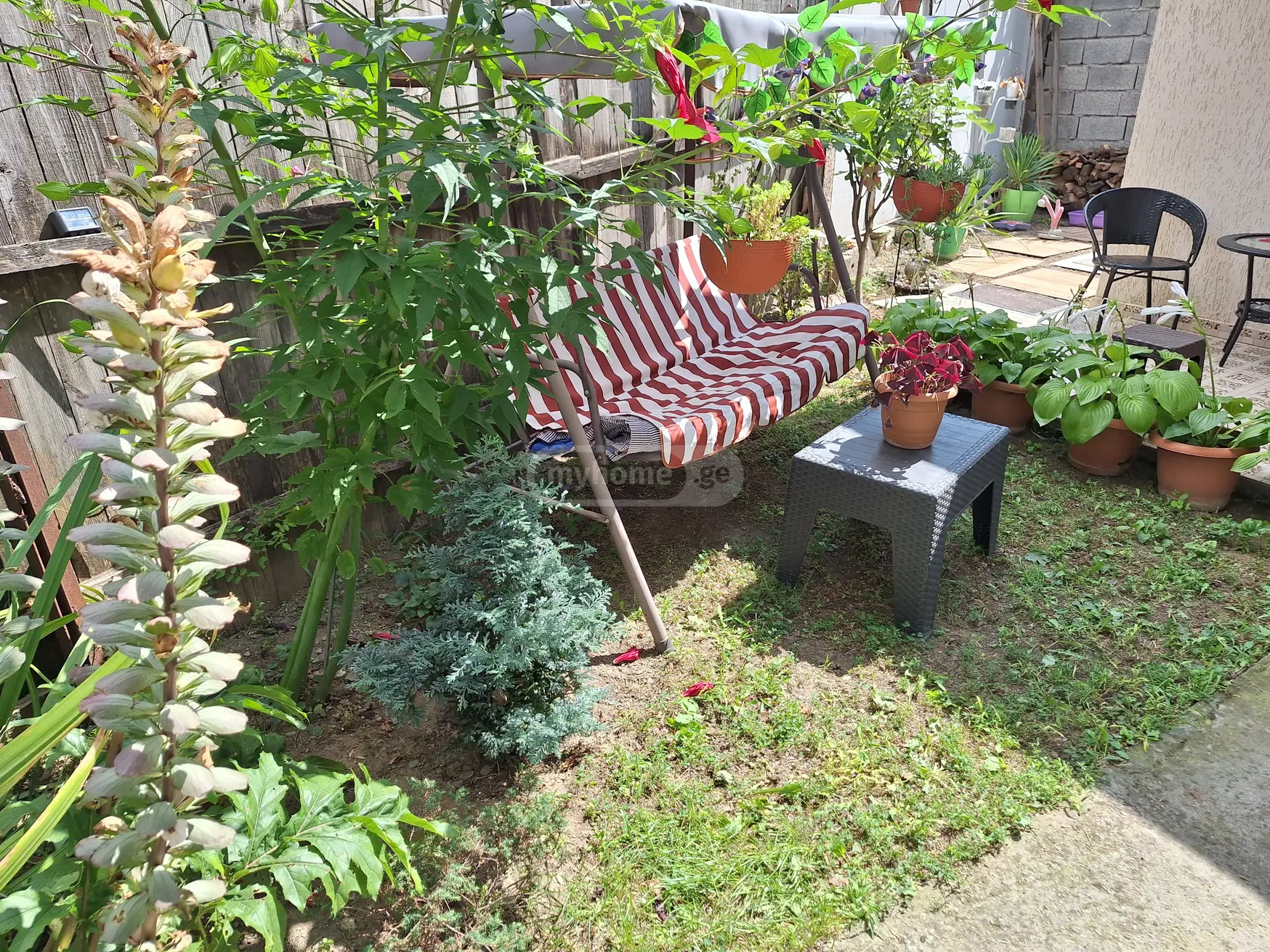 5 Room Private House For Sale view 12