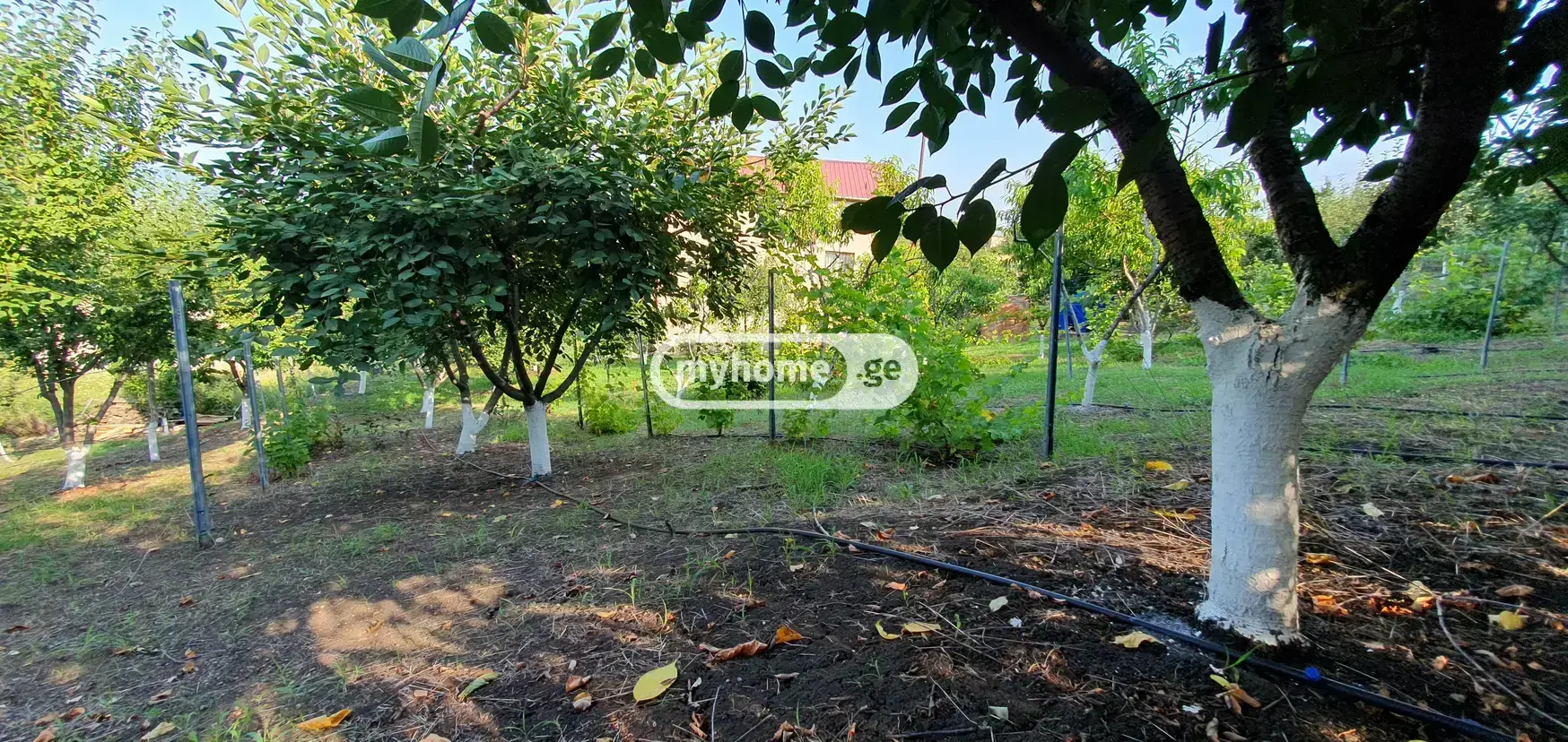 7 Room Country House For Sale view 11