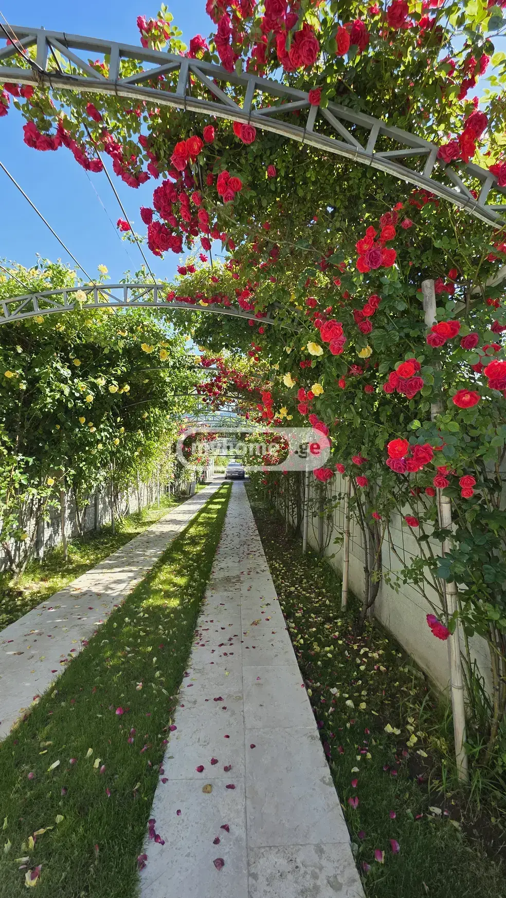6 Room Country House For Sale view 4