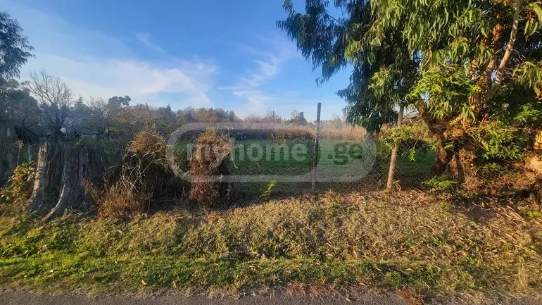 Agricultural Plot For Sale In Kobuleti view 3