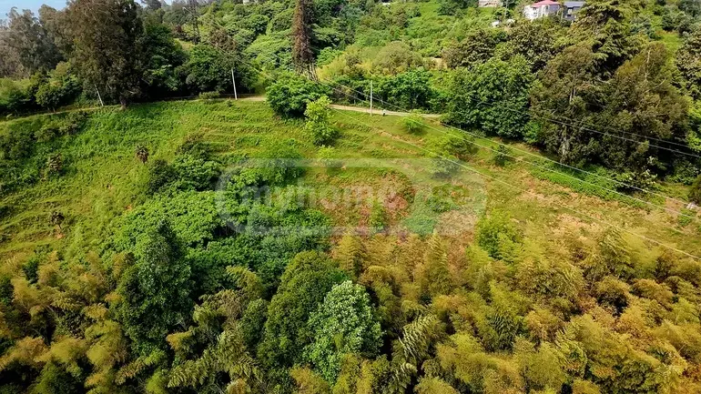Agricultural Plot For Sale In Tsikhisdziri, In Kobuleti Municipality view 4