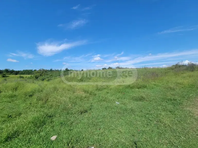იყიდება Agricultural Plot In Ozurgetiში view 1