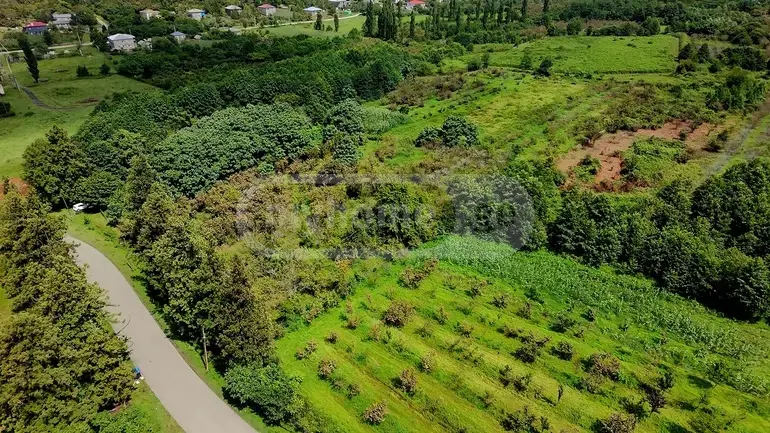 Agricultural Plot For Sale In Ozurgeti view 3