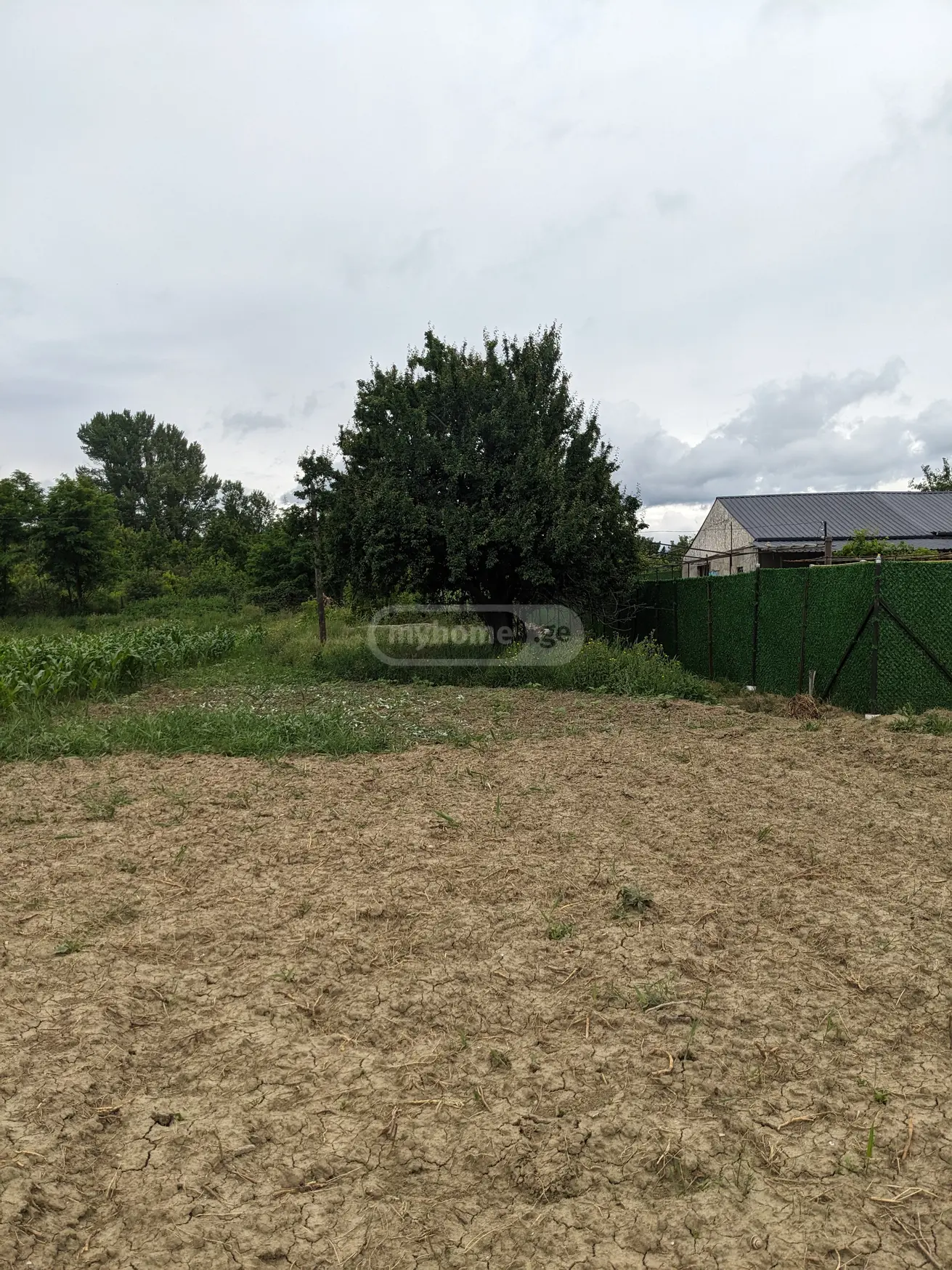 Non-Agricultural Plot For Sale In Gori view 6