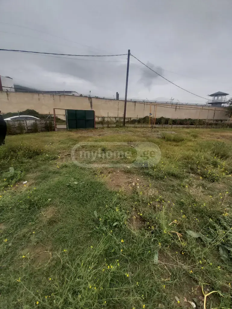 Non-Agricultural Plot For Sale In Gldani view 4