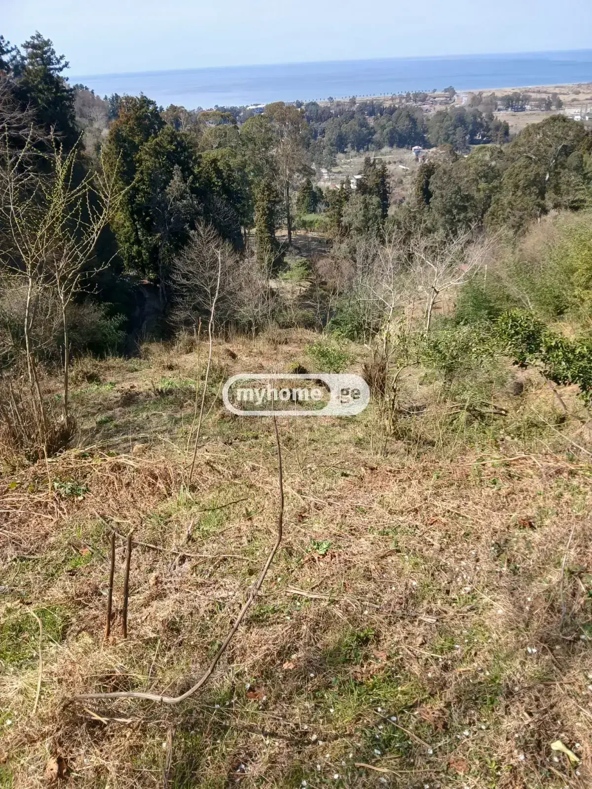 Agricultural Plot For Sale In Gonio, In Khelvachauri Municipality view 2