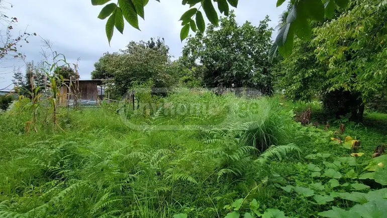 იყიდება Agricultural Plot In Buknari, In Kobuleti Municipalityში view 7
