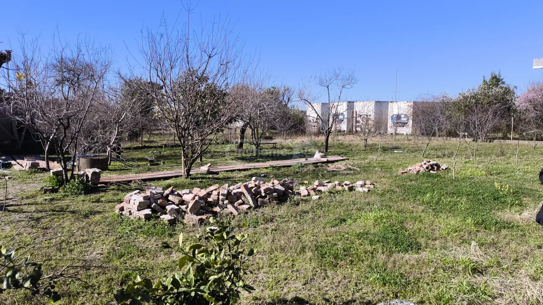 Non-Agricultural Plot For Sale In Foti view 5