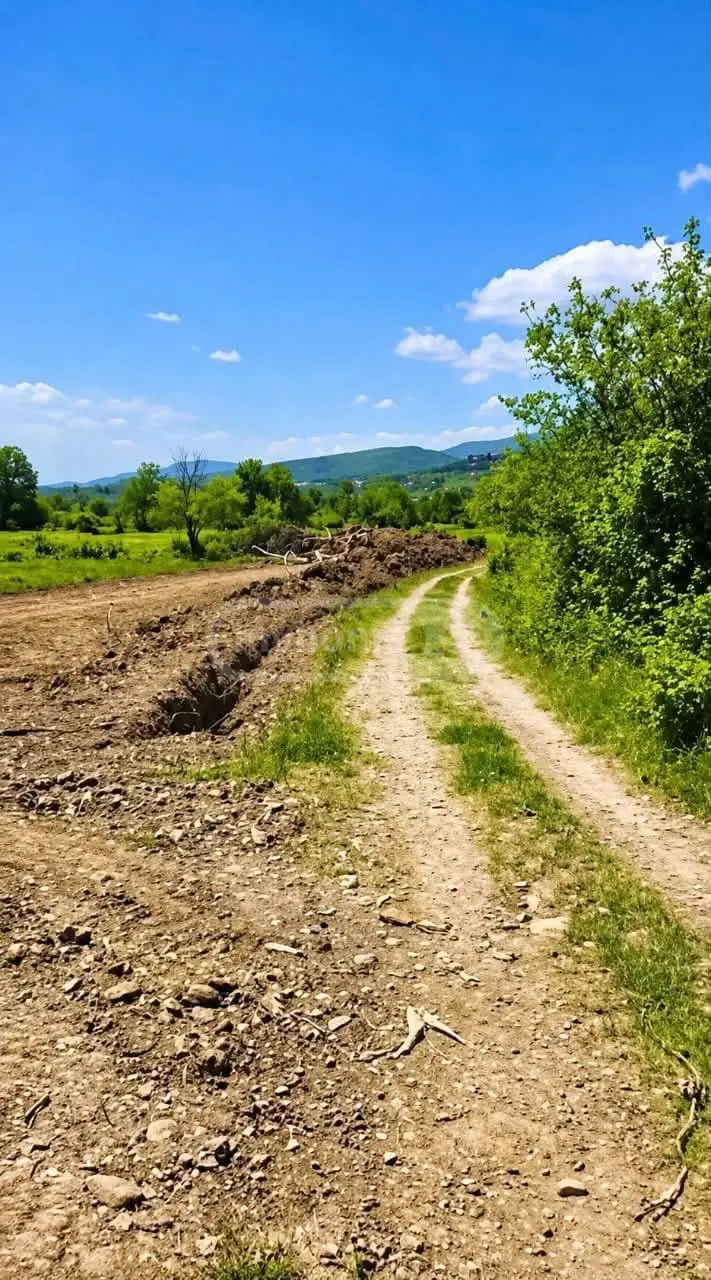 Agricultural Plot For Sale In Manavi, In Sagarejo Municipality view 1