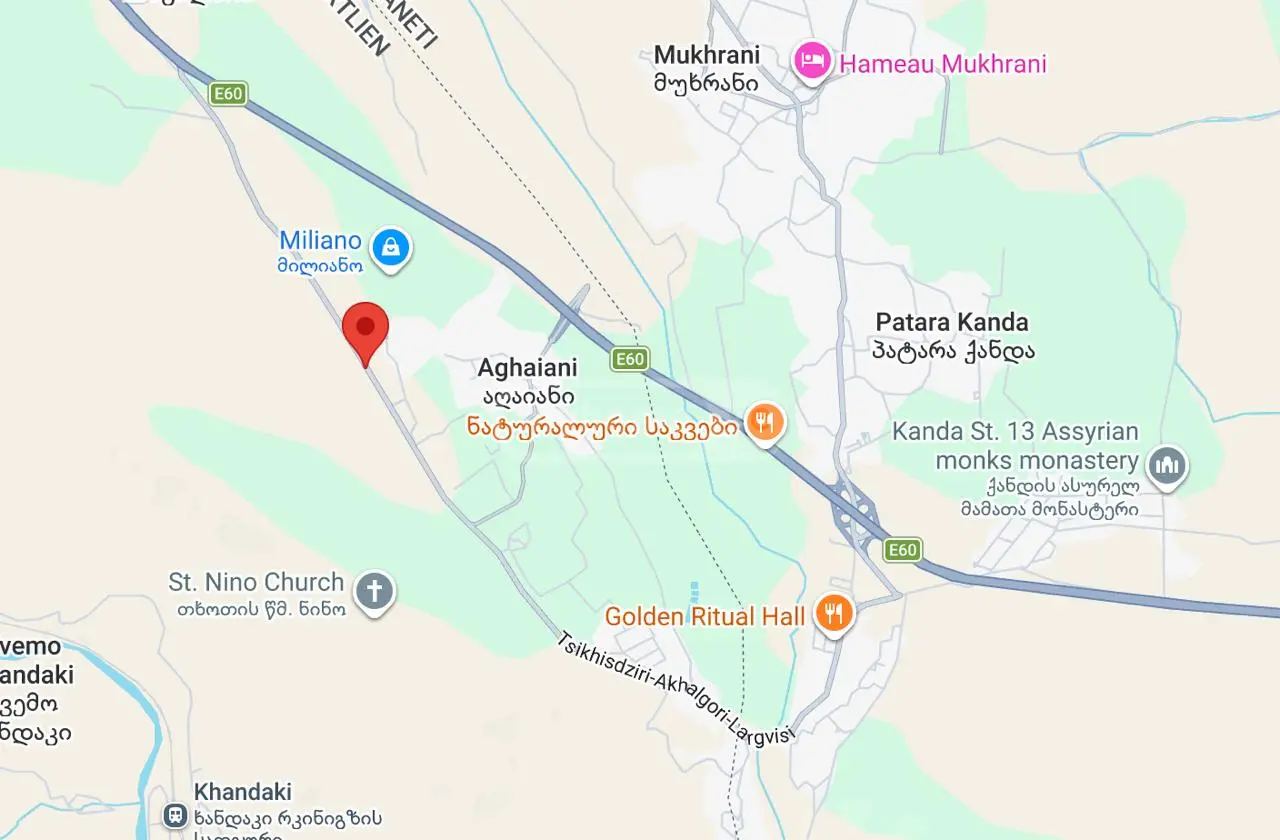 იყიდება Agricultural Plot In Aghaiani, In Kaspi Municipalityში view 2