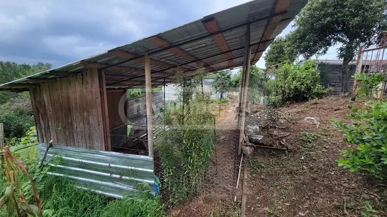 იყიდება Agricultural Plot In Buknari, In Kobuleti Municipalityში view 5