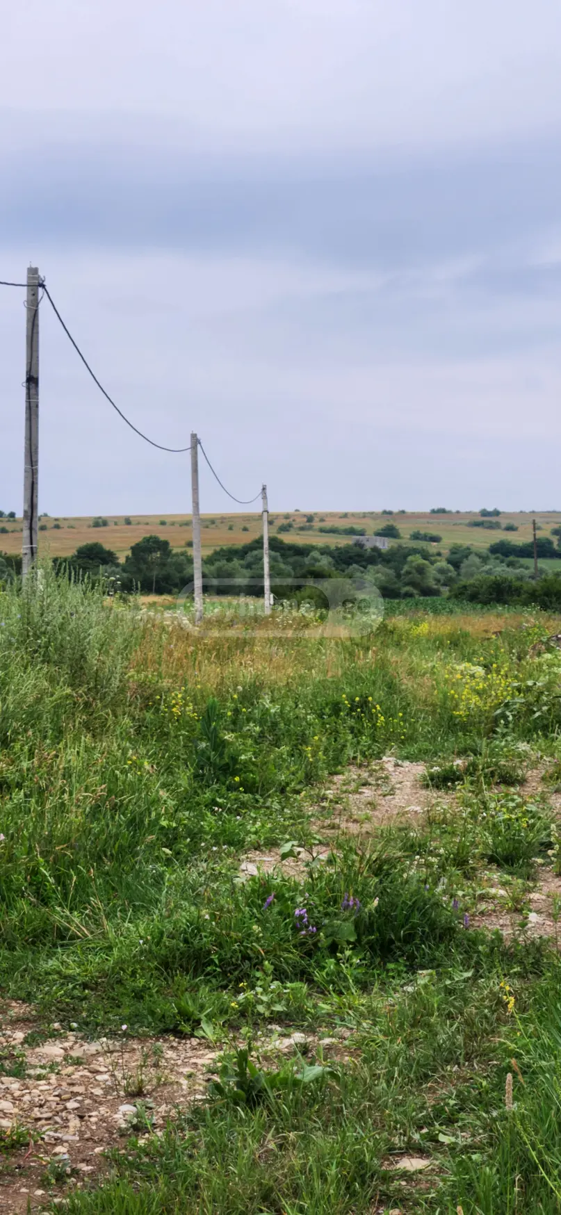 Продажа Agricultural Plot в In Tianeti, In Tianeti Municipality view 6