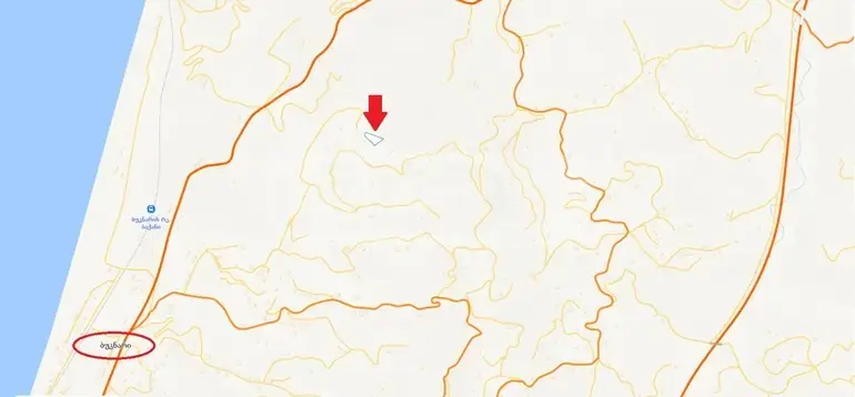 Agricultural Plot For Sale In Kobuleti view 4