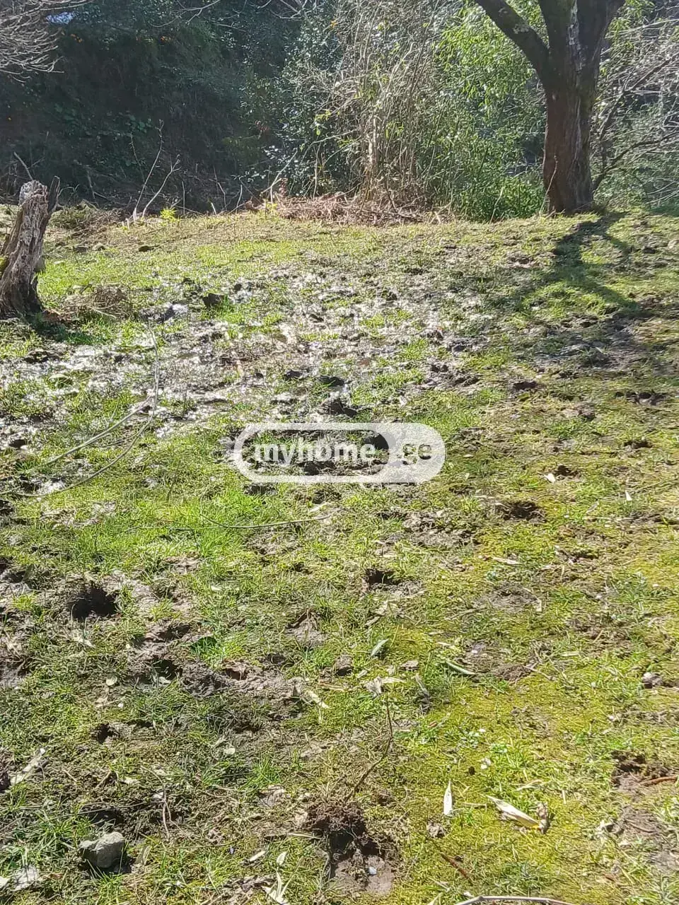 Agricultural Plot For Sale In Gonio, In Khelvachauri Municipality view 5